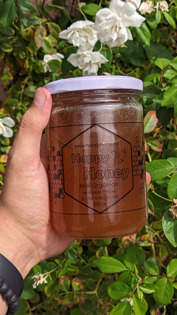 🍯 Miel Pura - Frasco 650 grs - Imagen 2