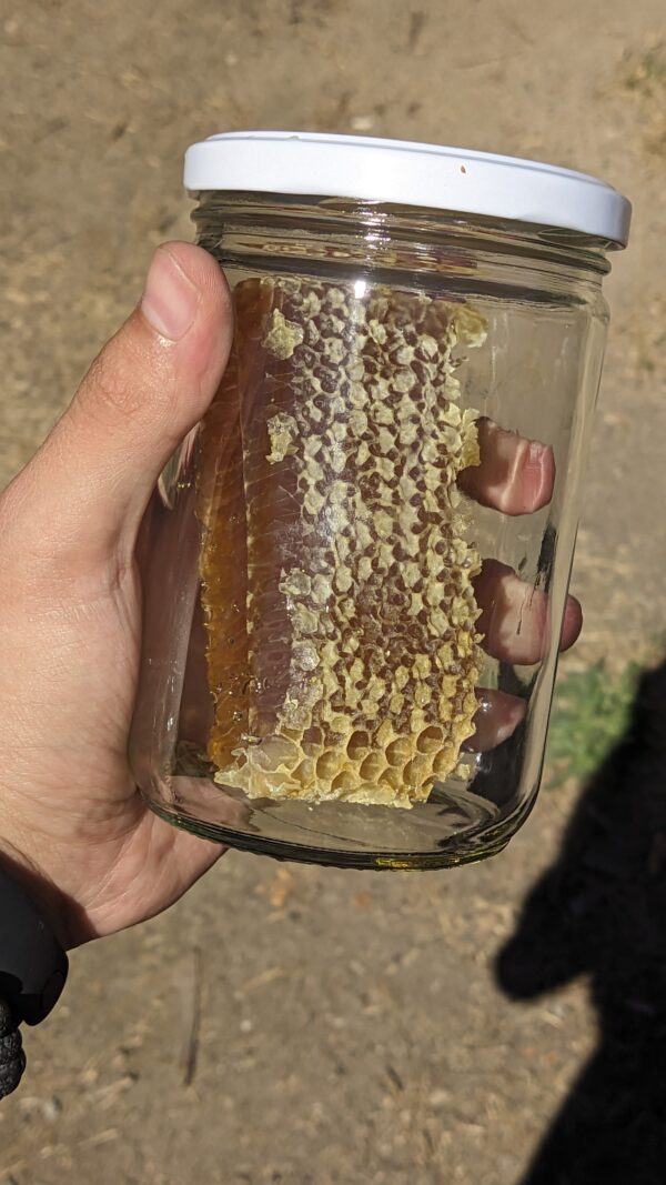 🍯🍃 Miel en Panal - Frasco de Vidrio Grande - Imagen 2