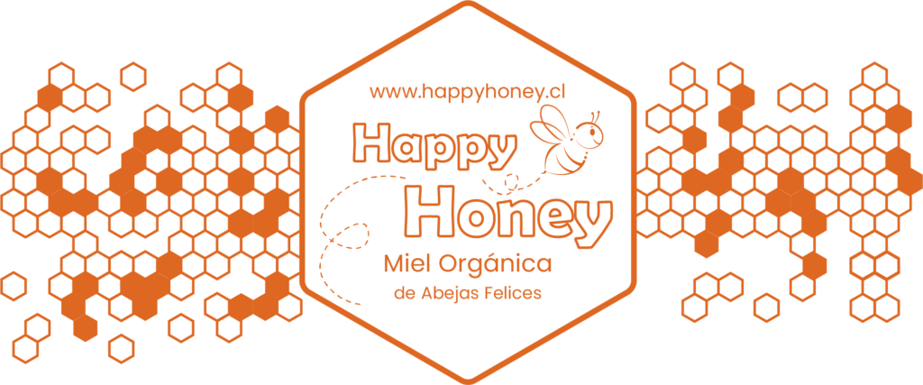 logo ancho naranja